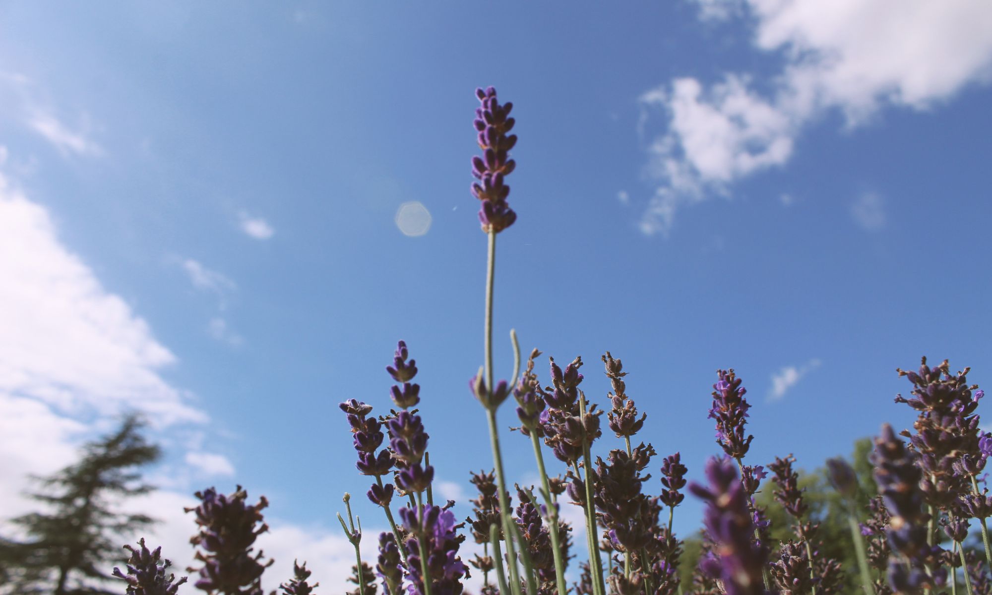 Deine Meditationsauszeit